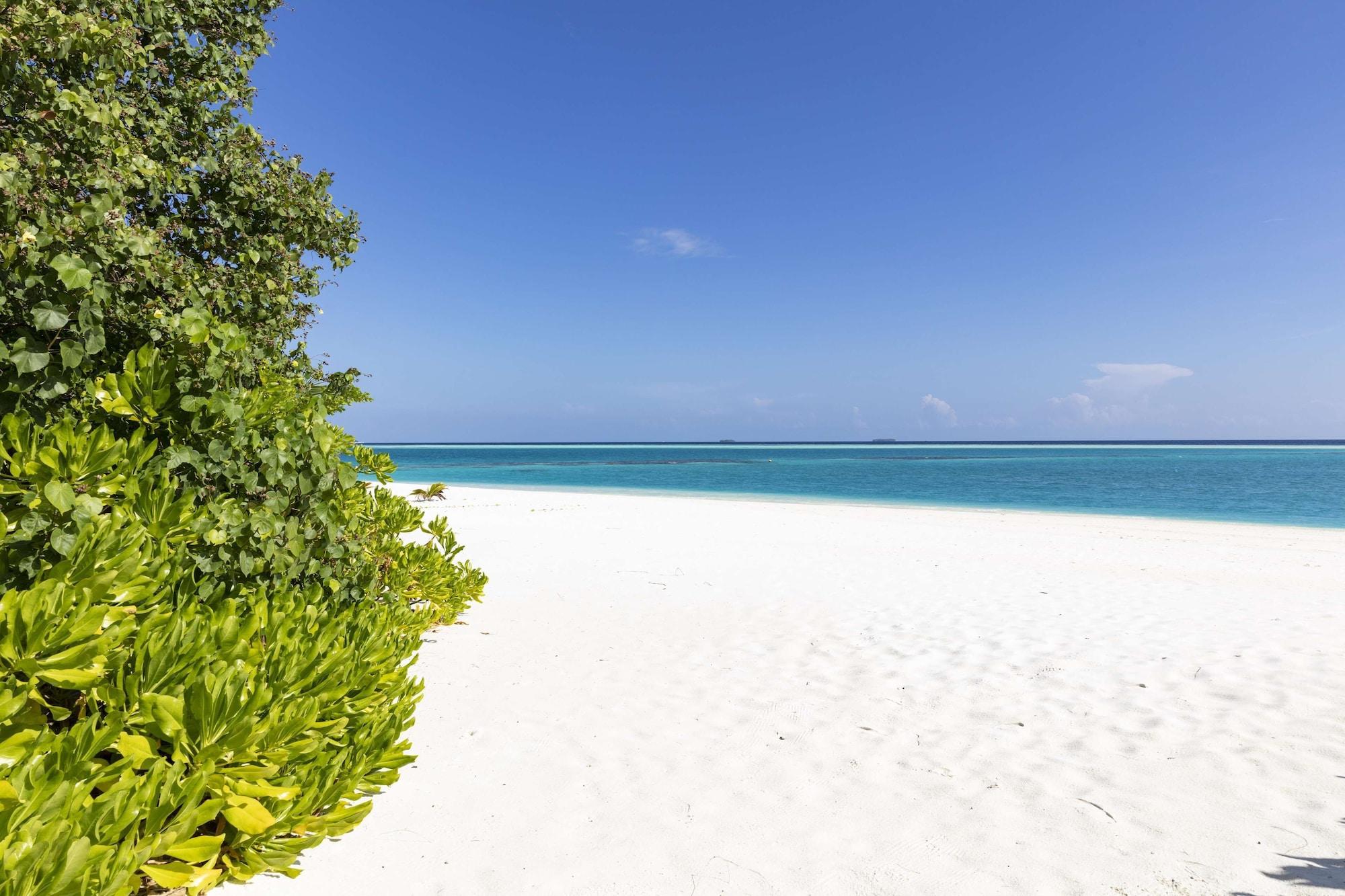 Niyama Private Islands Maldives - 25 Percent Off On Seaplane For Minimum Of 7 Nights And For Until 20 October 2025 Курортний комплекс Olhuveli (Dhaalu Atoll)